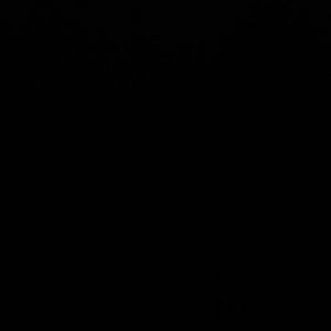 Meet your Posher, Cassandra